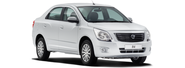 Автомобильные коврики RAVON R4